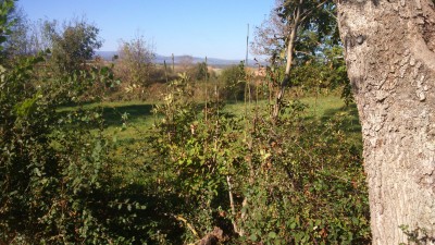 Vue des chiottes.JPG