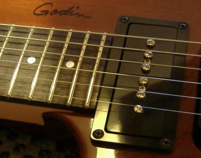 2009 godin p 90 aa.JPG