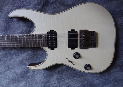 Ibanez 03-06.JPG