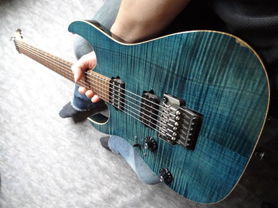 Ibanez 07-06-2012.JPG