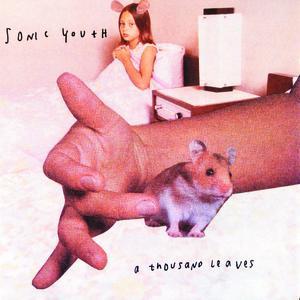 Sonic-Youth-A-Thousand-Leaves.jpg