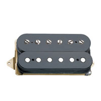 DiMarzio DP 196 Virtual Paf.jpg