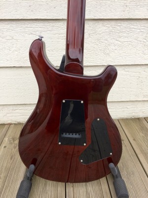 PRS custom 24 SE - 6 (1).jpg