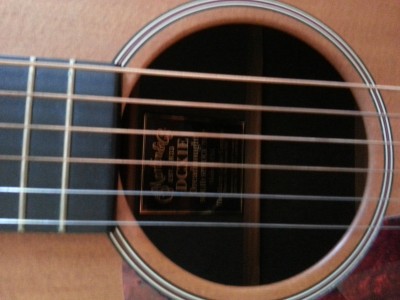 MARTIN 4.jpg