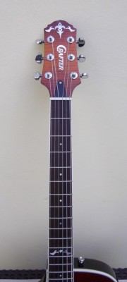 Crafter P90 manche.jpg