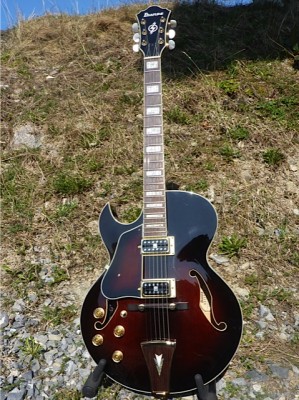 Ibanez_AK95_1.jpg