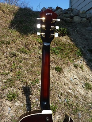 Ibanez_AK95_6.jpg