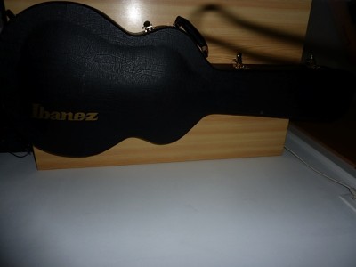 Ibanez_AK95_8.jpg