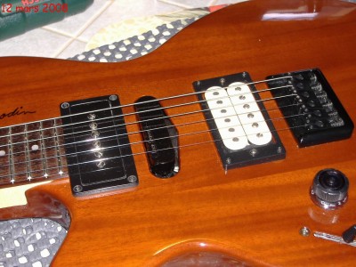 godin 1 3 micros .JPG