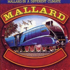 mallard.jpg