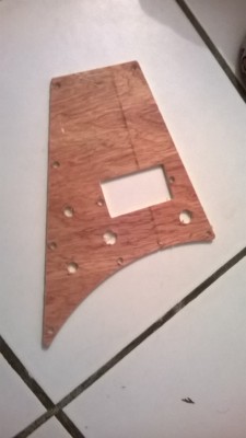 WP_20140329_001.jpg